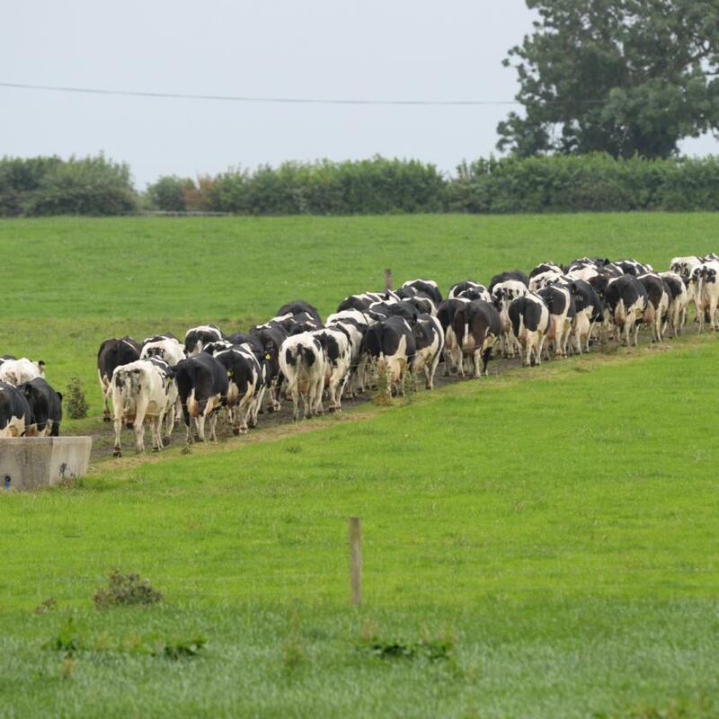 Agriculture is responsible for a third of overall emissions. Expanding our beef and dairy herds is delivering a harsh payback which can no longer be avoided