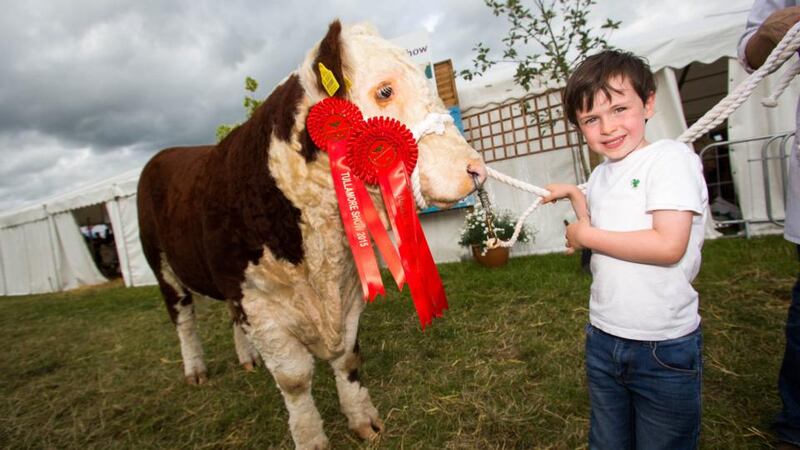 Darragh Fitzgerald from Moate with Griana Oscar, Hereford All Ireland Bull of the Year, at the 2015 Tullamore Show and AIB National Livestock Show. Photograph: Jeff Harvey