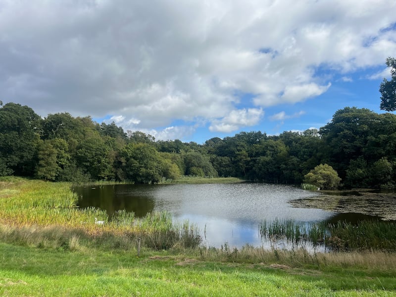 The lake at Glenstal