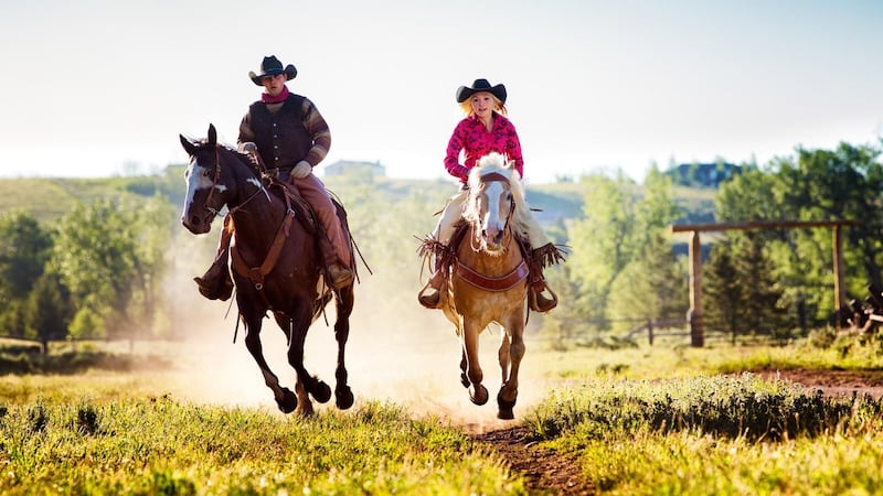 Enjoy a stay on a working cattle ranch in Texas