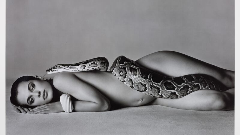 Lot 18 at Sotheby’s, limited edition photographic print of ‘Nastassja Kinski and the Serpent, Los Angeles, California, 1981’ by Richard Avedon £62,500 (£50,000-£70,000)