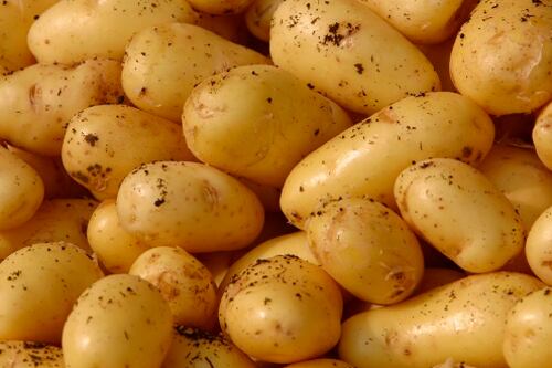 Farmers call for inquiry over French potatoes mistakenly marked as Irish