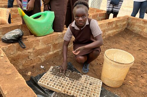 Zambia seeks green revolution but unstable climate threatens income of millions of small farmers