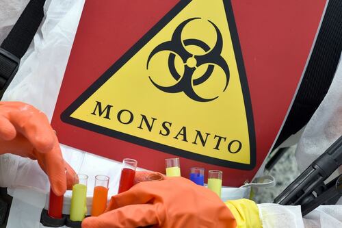 Monsanto in talks with Bayer about ‘strategic options’