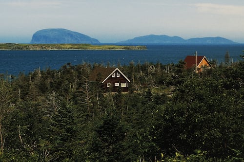 Newfoundland communities are ‘most Irish’ outside Ireland, genetic study finds