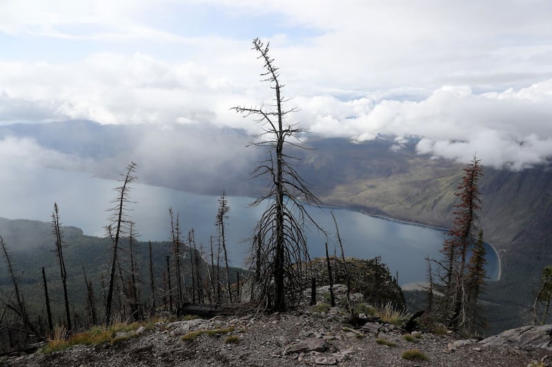 Glacier National Park and a host of other national parks in the US have been enforcing a vehicle registration system for people wishing to visit, to control traffic volumes. Photograph: Chip Somodevilla/Getty Images