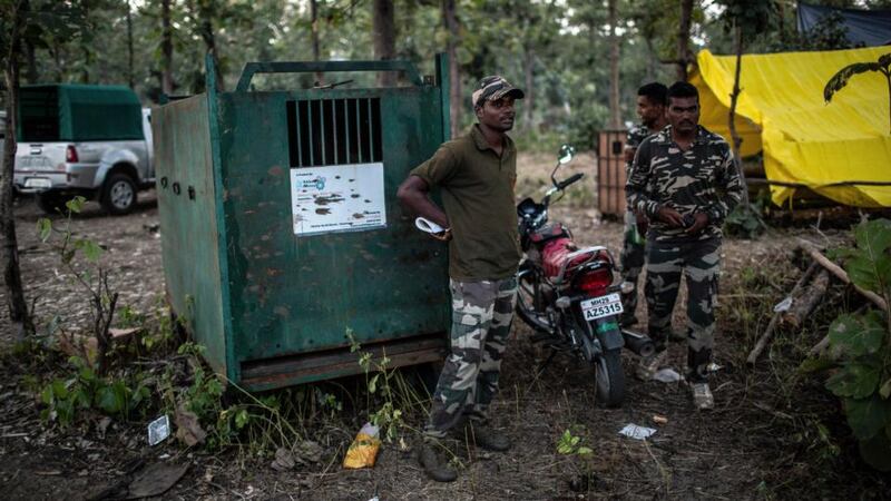 Calvin Klein Obsession: Indian forest rangers with a cage used to transport tranquillised tigers. Photograph: Bryan Denton/NYT