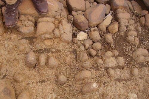 Before spears or arrows, humans ‘threw stones’ to hunt