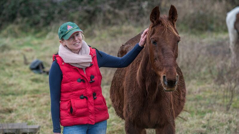 Horse Education Limerick Project Southside  education officer Catherine Normoyle. Photograph: Brenda Fitzsimons