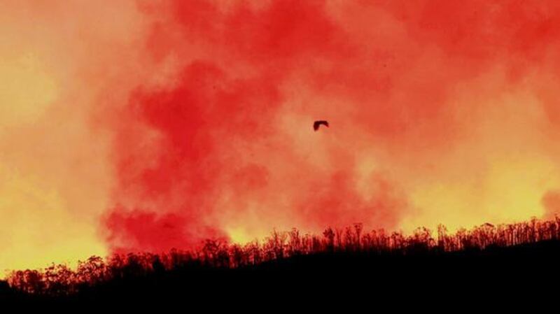 Bush fire smoke rises near the town of Seaton last month in South Australia. Tony Abbott, the man likely to be the next prime minister, sees political opportunity in climate scepticism. photograph: getty