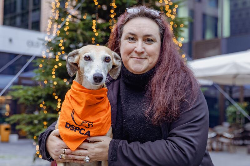 Fiona Killeen: 'I think dogs are drawn to children and vintage people, as I call them, because they don’t have any agenda.' Photograph: Ash Lynch
