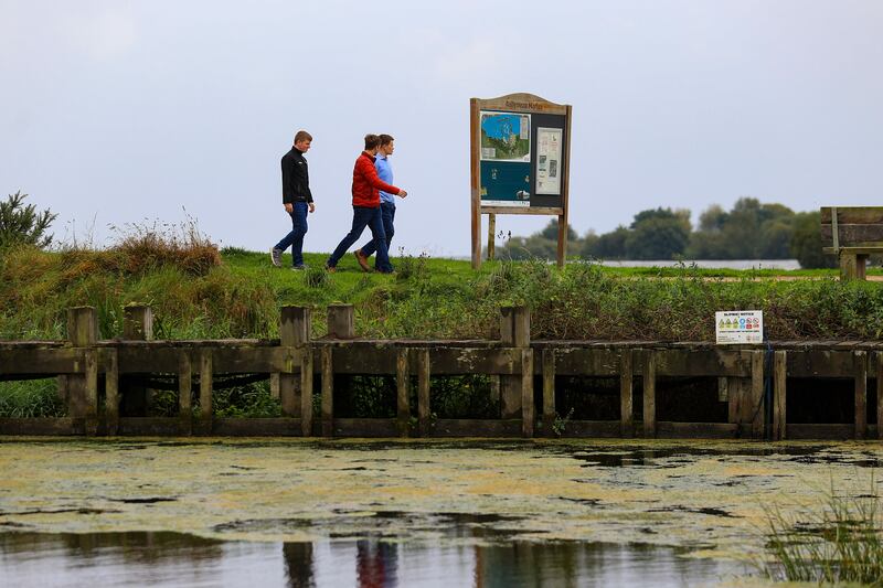 Algae on the surface at Ballyronan Marina, Lough Neagh, September 17th, 2023. Photograph: Liam McBurney/PA Wire