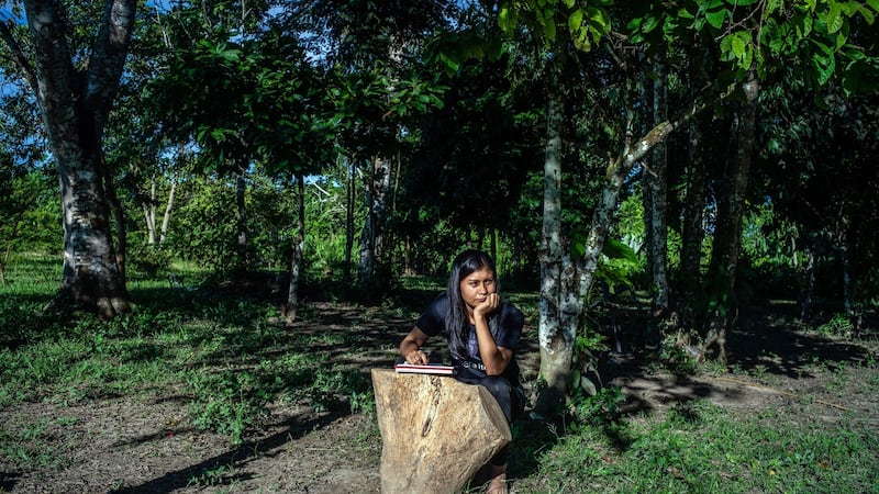 Wendi Kuetgaje, an anthropology student, struggles to attend her anthropology class over her mother’s mobile phone from the Maguare Reservation in Colombia. Photograph: Federico Rios/New York Times