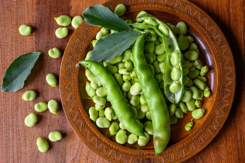 Fava beans. Photograph: iStock