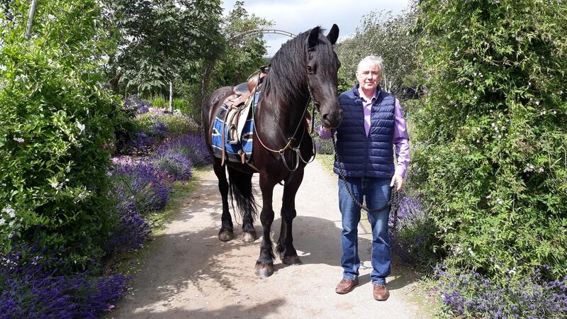 David Doyle, manager of the equine-assisted therapy centre at Liskennett Farm in Co Limerick.