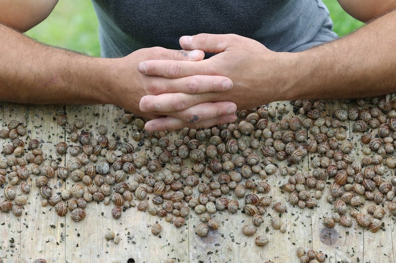 Peter in the Snail Paddock.  Photograph: Nick Bradshaw