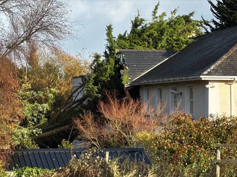 A tree crashed into the top floor of the  Eyrefield Manor Nursing Home in Greystones following Storm Darragh.