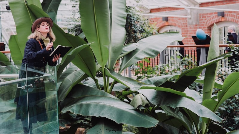 The Tropical Ravine at Belfast’s Botanic Gardens has reopened.