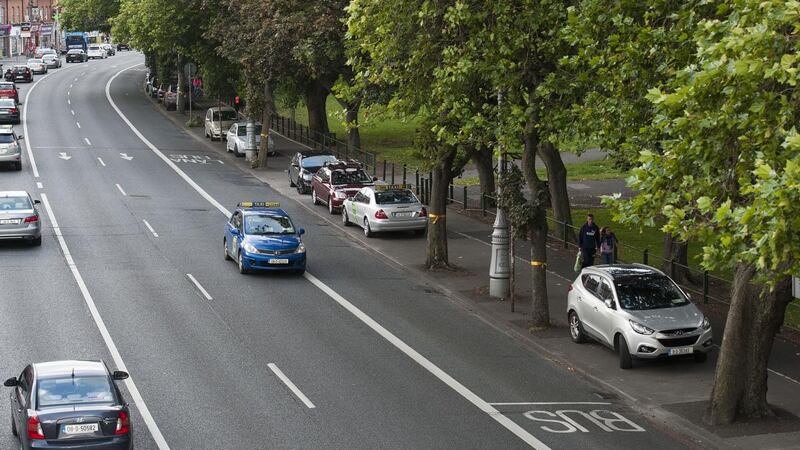 Trees lining the roadway at Fairview park earmarked for felling by Dublin City Council, 2017. Photograph: Dave Meehan