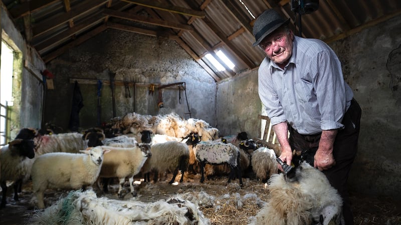 Paddy the Shearer: Paddy Liam O'Brien (82), in Co Mayo, who was the top sheep shearer in the Australian outback in the 1950s. Photograph: Ross O'Callaghan