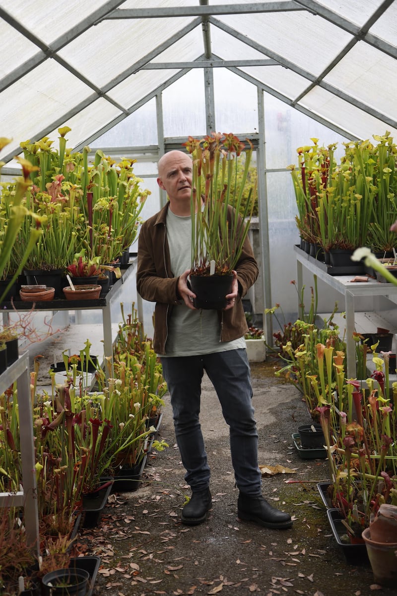 Conor Pope holds the plant that is named after one of his relatives. It is the Sarracenia X Popei. Photo: Bryan O Brien