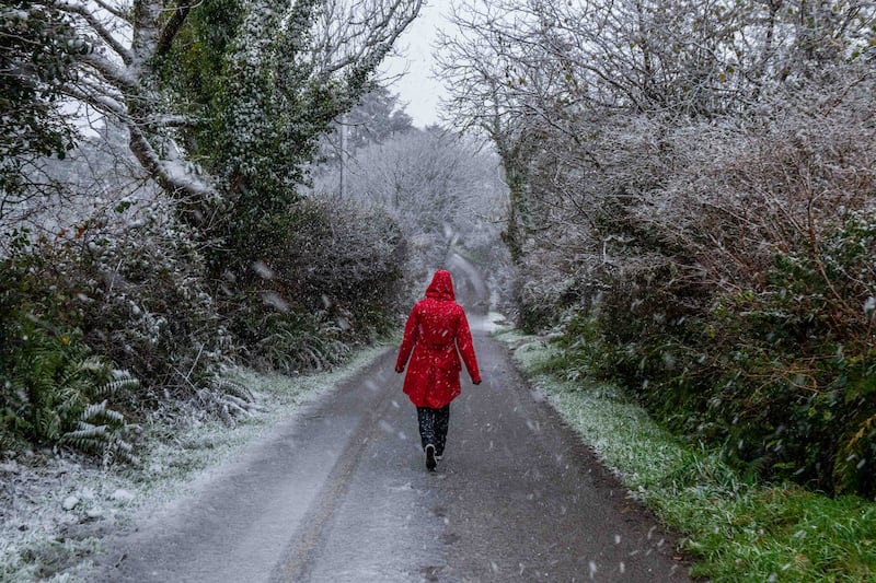 Snow falls in Connonagh, west Cork. Photograph: Andy Gibson.