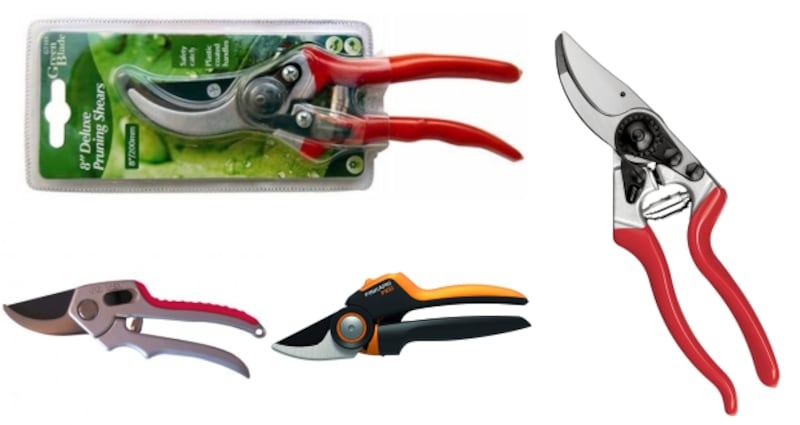 Clockwise from top left: GreenBlade Deluxe Pruning Shears, Felco Classic 8, Fiskars PowerGear X Pruner, True Temper Gardener Bypass Hand Pruner