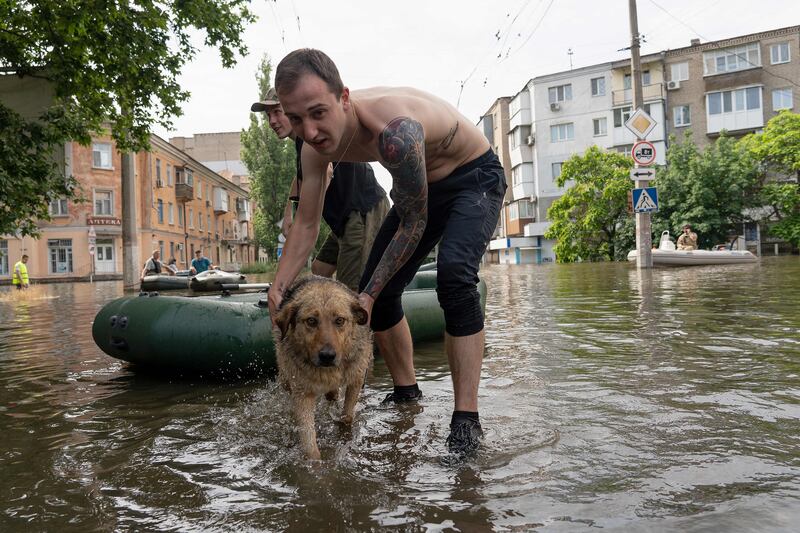 A local resident carries a dog during an evacuation from a flooded area in Kherson on Thursday. Photograph: Aleksey Filippov/AFP via Getty Images