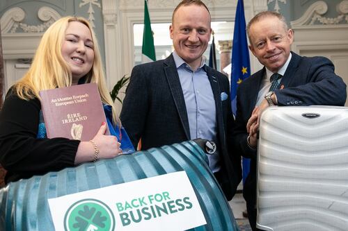 Back for Business programme aims to help returning emigrants