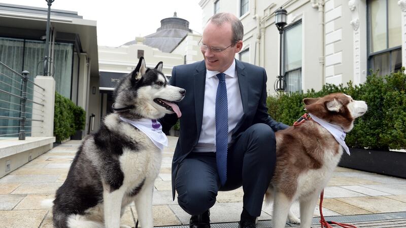 The Minister for Agriculture, Food, and the Marine Simon Coveney , has a smart dress sense. Photograph: Eric Luke