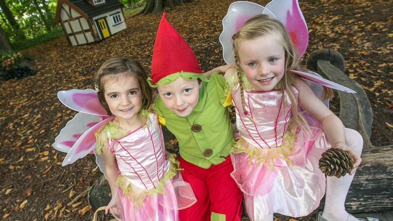 Magical: see the fairy folk in Elf Village at the Castlecomer Discovery Park.