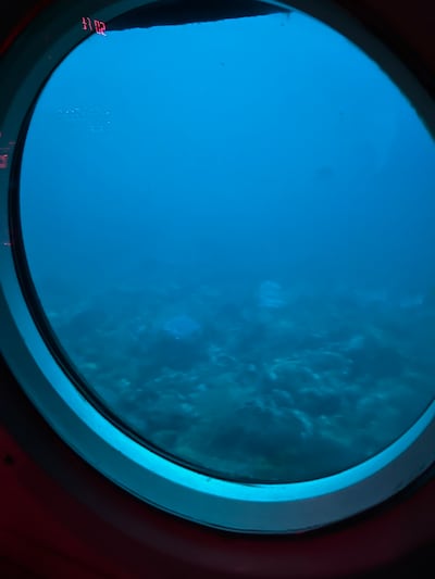 Rosita Boland's trip in a submersible