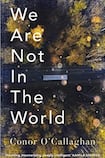 We Are Not in the World