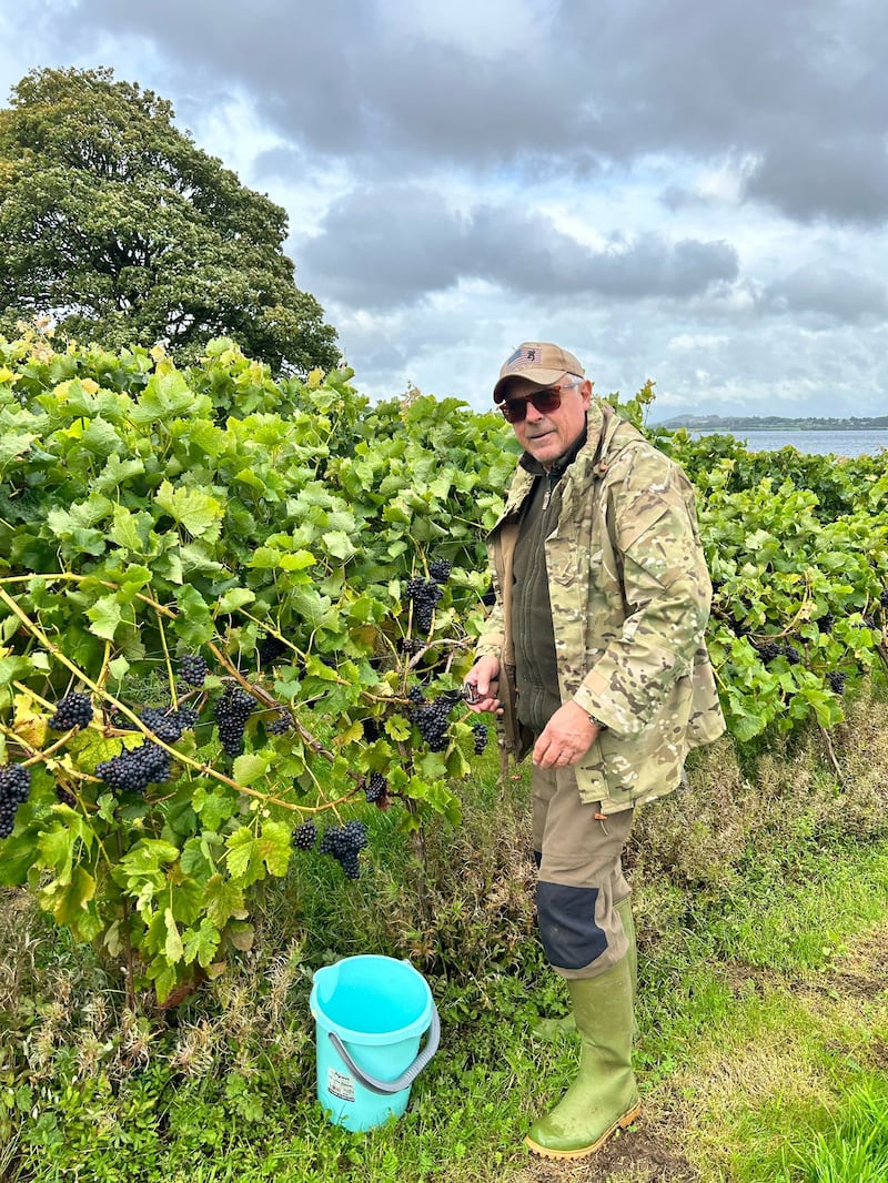 Carlo Rizzi is based near Lough Owel, Co Westmeath. He planted six rows of vines, each one a different variety