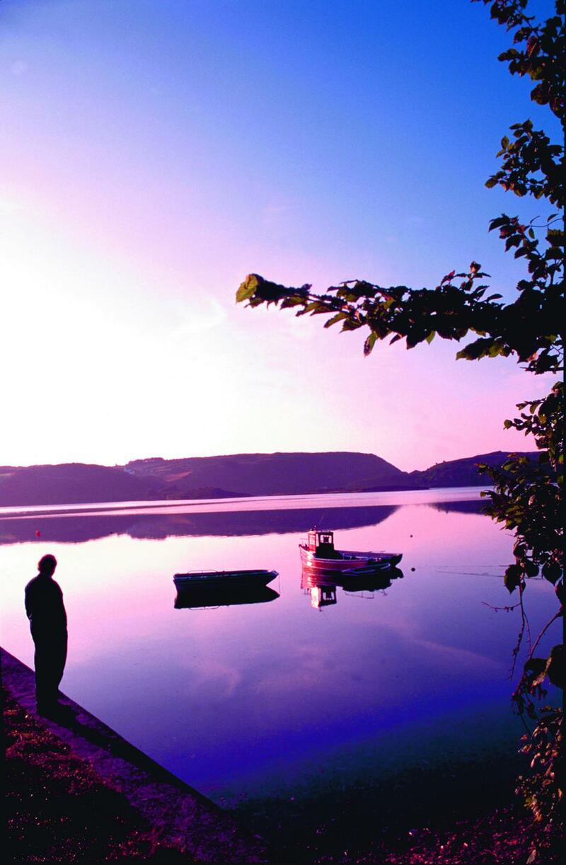 Lough Hyne in west Cork. Photograph: Brian Lynch/Fáilte Ireland