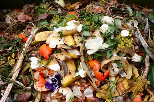 Tackling food waste in Ireland has potential for climate dividend
