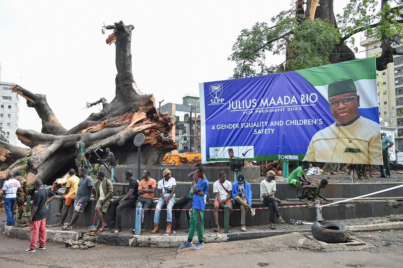 People sit next to the fallen cotton tree in Freetown on May 25th. Photograph: Saidu Bah/AFP via Getty