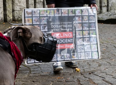 Protesters walked from St Stephens Green to Leinster House against the ban last September. Photograph: Sam Boal/Collins