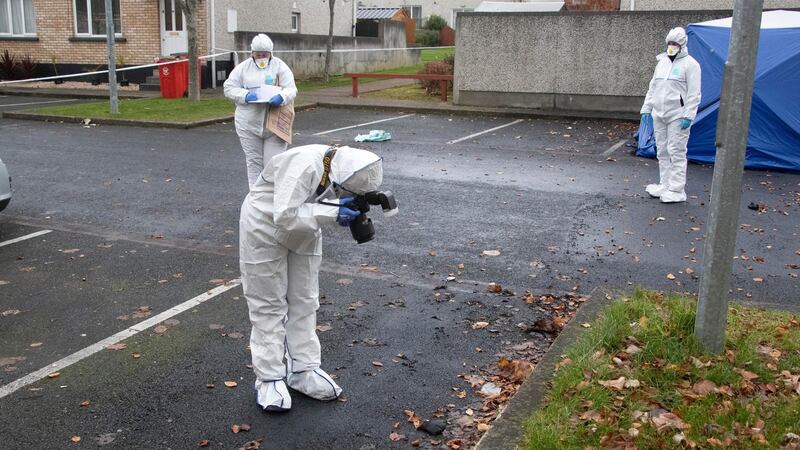 Gardaí  investigate the scene on Mount Andrew Court, Lucan this morning, where the body of a man was discovered in a burning car. Photograph:  Collins