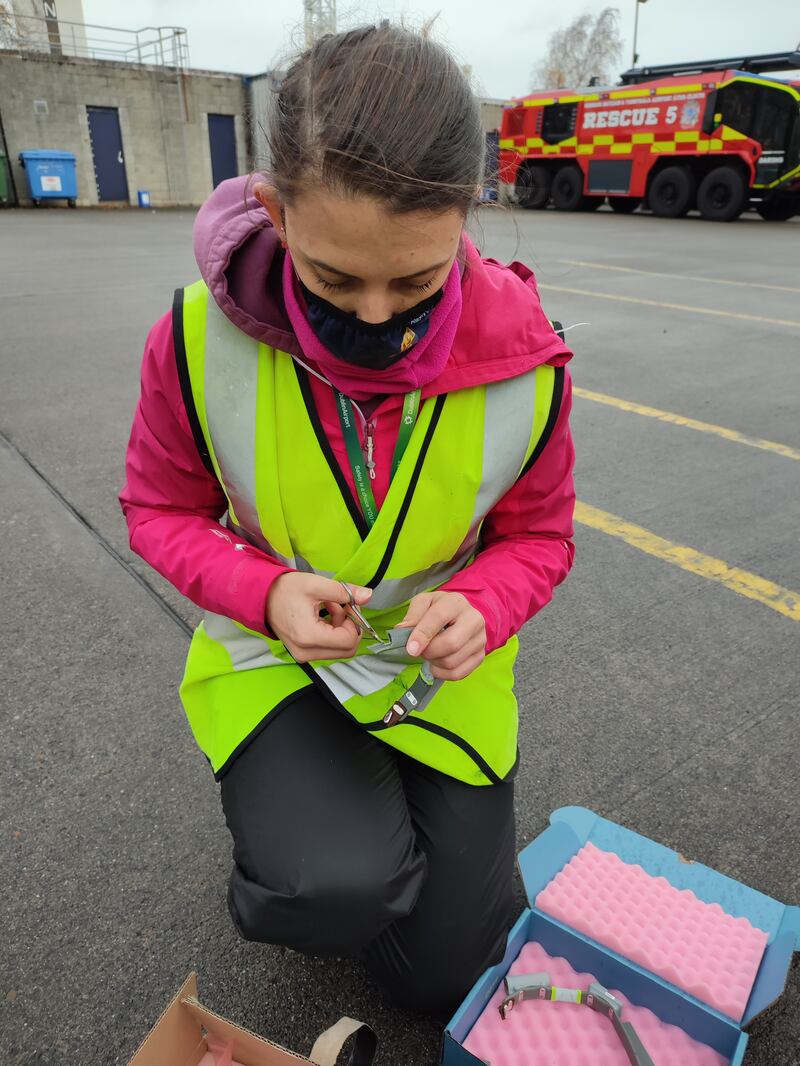 UCC researcher Sammy Ball prepares a collar preparation for hare monitoring in Dublin Airport