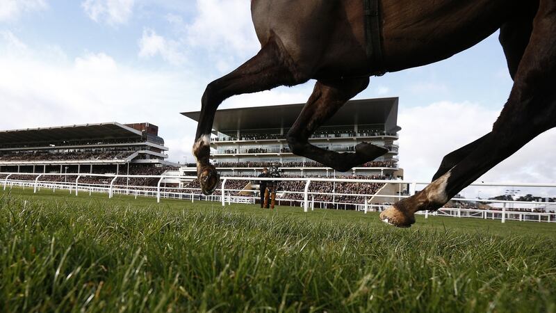 Last year there were nine fatalities from 1,333 runners across all Cheltenham races – including the six fatalities at the festival. Photograph: Alan Crowhurst/Getty Images