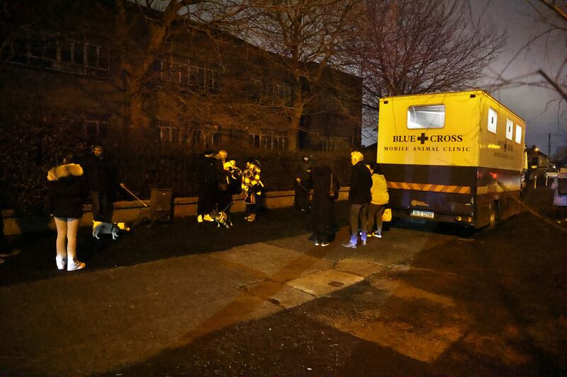 Blue Cross Animal Mobile Clinic parked on Armagh Road, Crumlin, Dublin. Photograph: Dara Mac Dónaill







