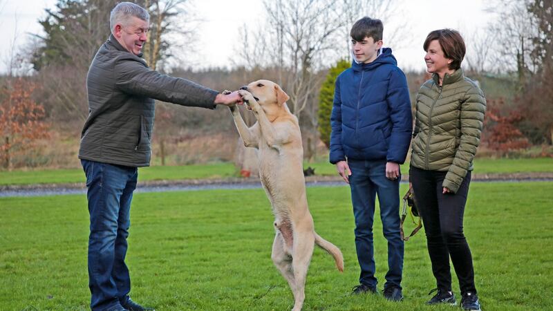 Cian’s parents, Evelyn and Enda Neary, Cian’s brother, Shane, and Cooper. Photograph: Shelley Corcoran