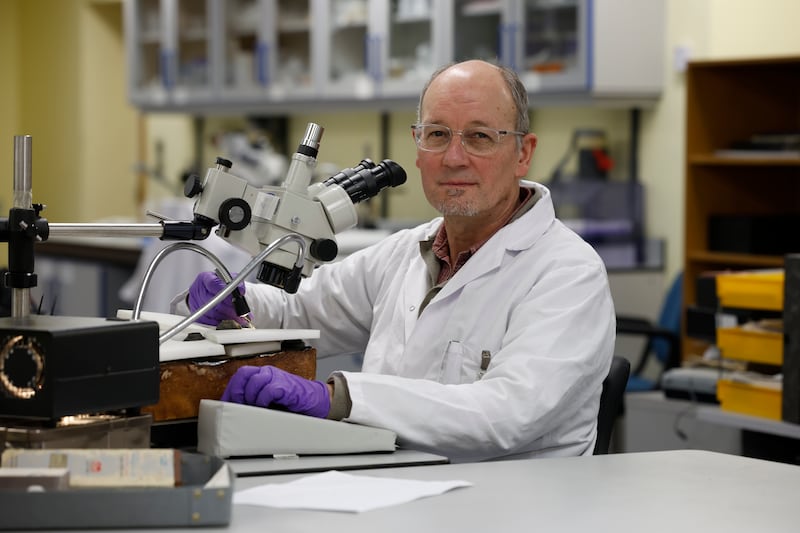 Paul Mullarkey, one of the museum's conservators. Photograph: Nick Bradshaw