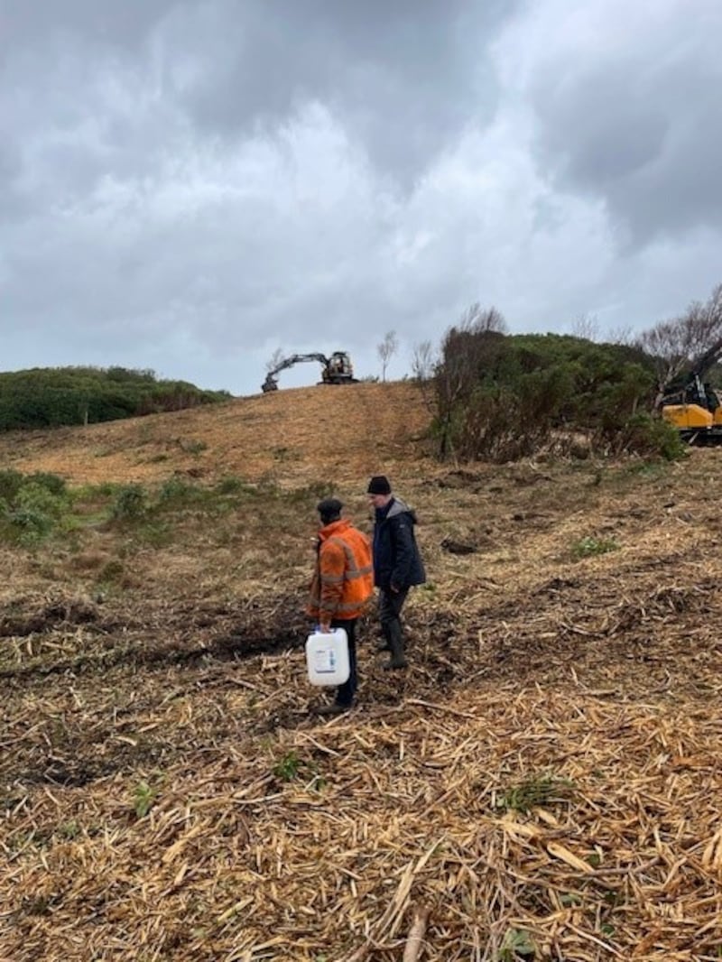 Machinery clearing rhododendron at Killarney National Park Feb 2025. Photo by Anne Lucey