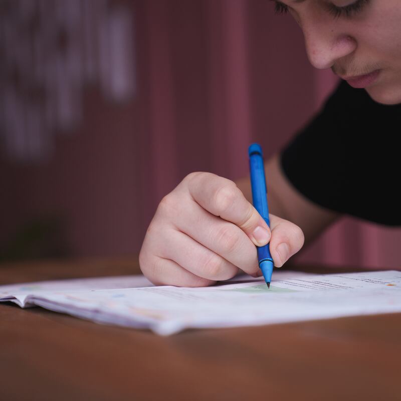 Leaving Cert parent: ‘Someone opened a bag of crisps in our kitchen the other night. It was deemed too loud for our exam student’