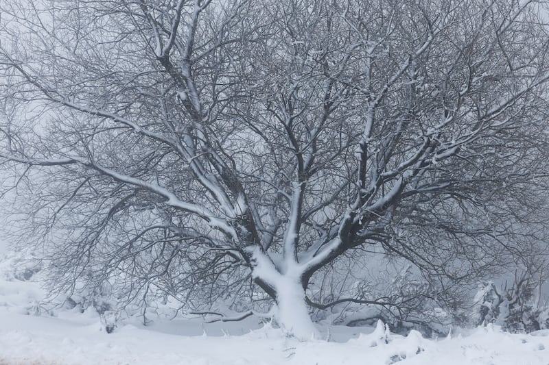 Snowy and foggy conditions in the Wicklow Gap, Co Wicklow. Photograph: Nick Bradshaw/The Irish Times