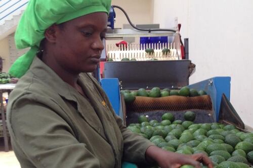 TruTrade cashless platform helps African farmers grow businesses