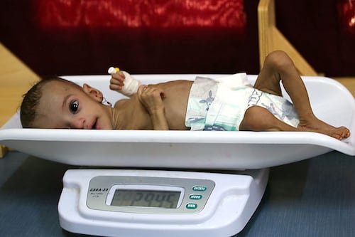 Starvation ‘death sentence’ looms for eight million people in Yemen