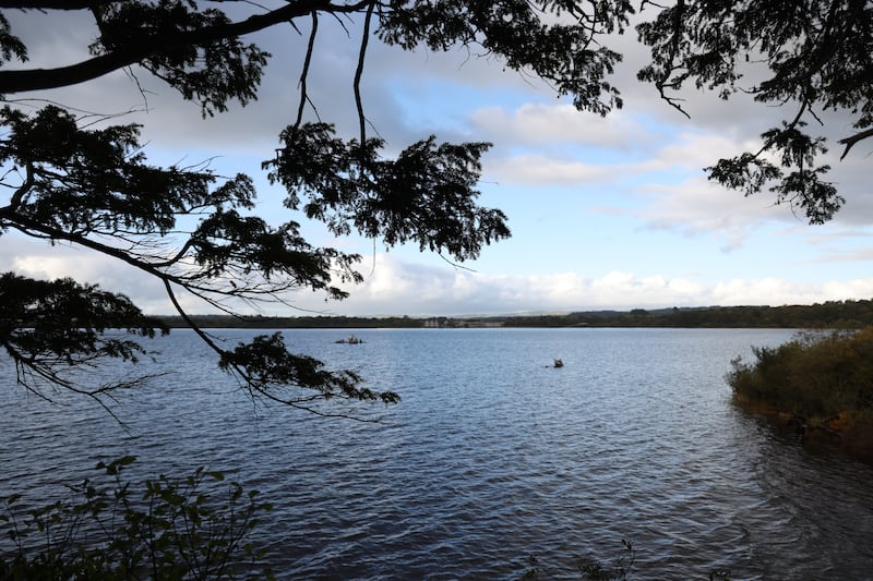 The lakes and trees have changed little since Kernoff painted them more than 70 years ago. Photograph: Bryan O’Brien